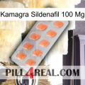 Kamagra Sildenafil 100Mg 26